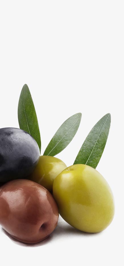 Adeva Distribution acheter en gros Apéritifs Apéro Epices Fruits Secs Olives Tapenades Légumes secs à Toulouse
